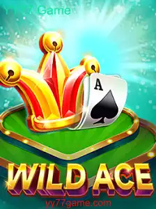 Explorando o Universo Empolgante de WildAce